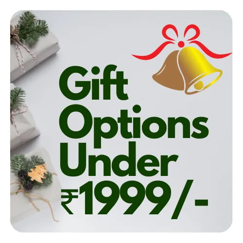 Christmas Gifts Under 2000