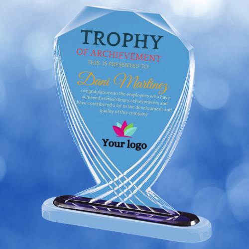 Express Medals Various Styles Of Personalized Thank You Award